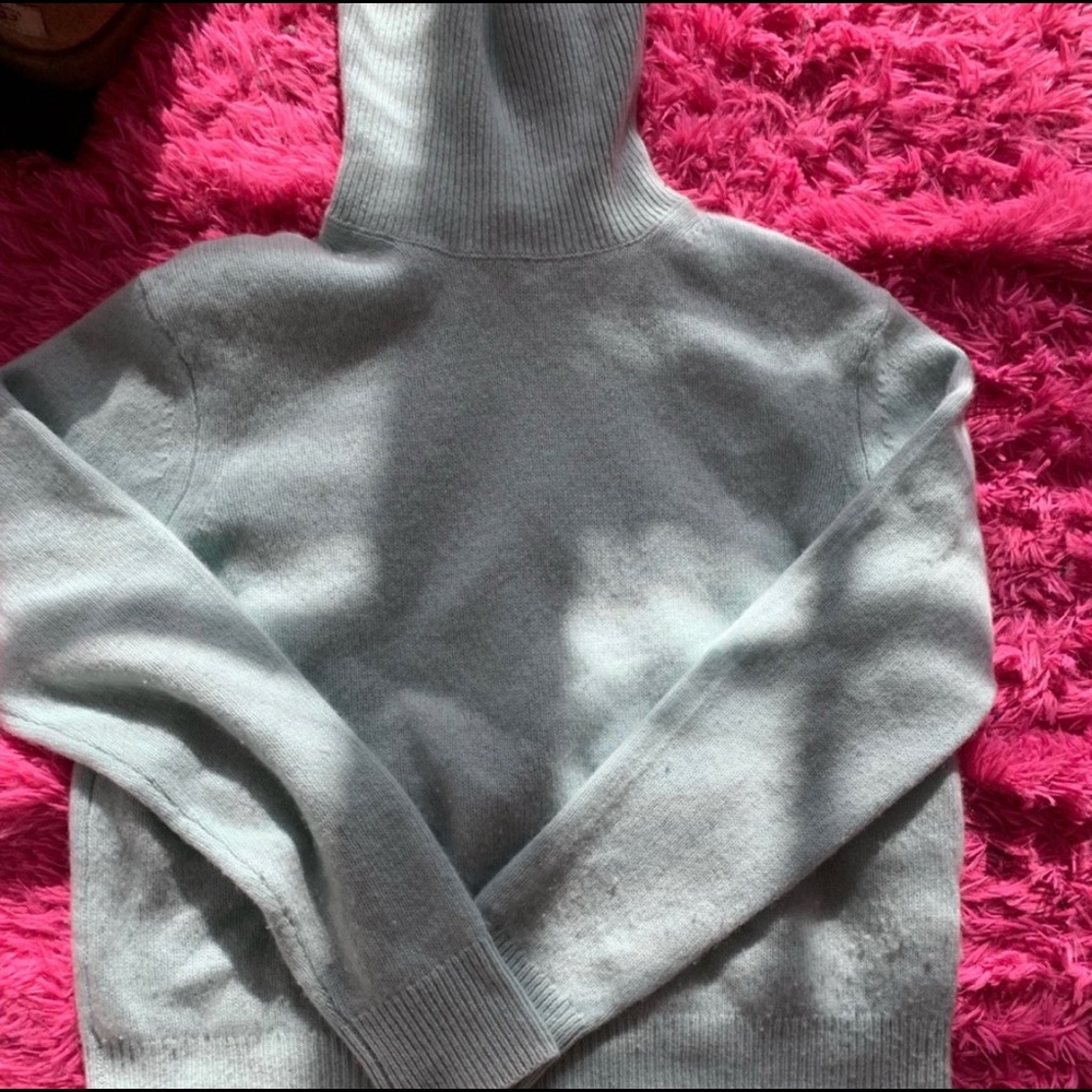 Aritzia Mintgreen turtleneck sweater